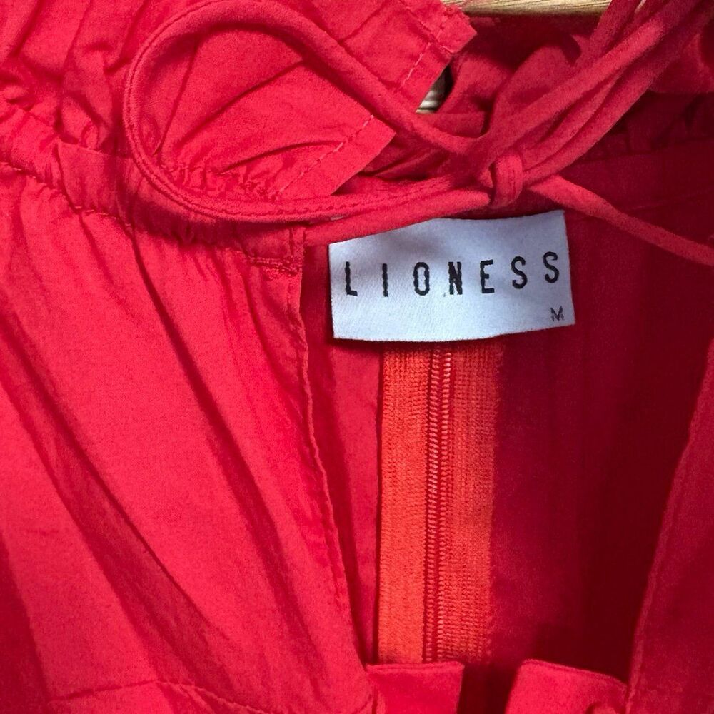 Lioness Red Ruffle Ruched Mini Dress - Picture 8 of 10